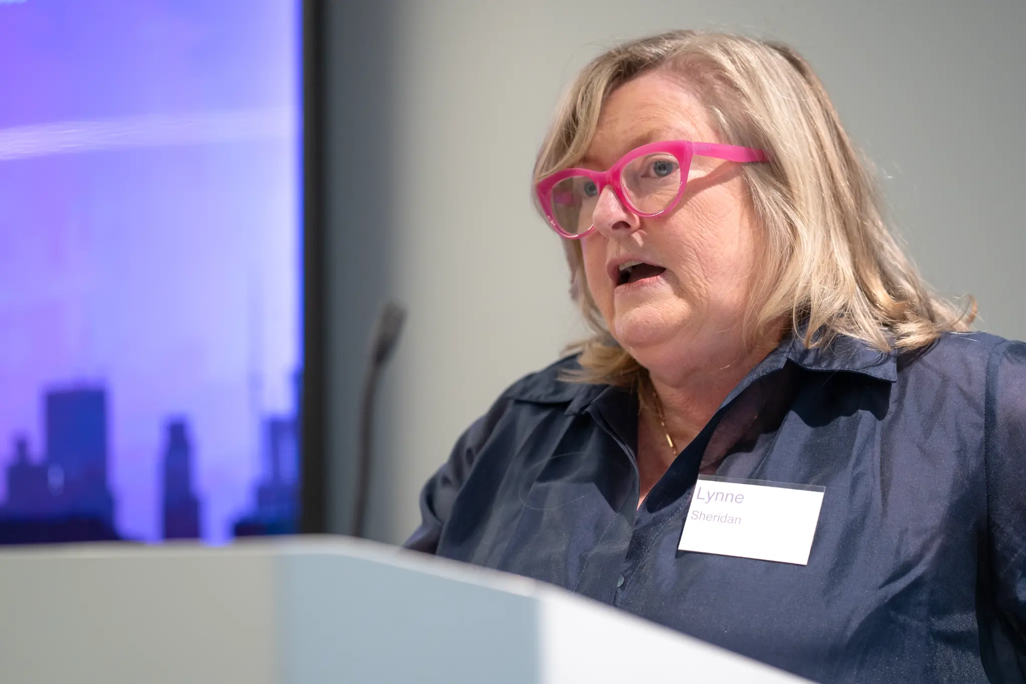 LMR Reforms: Progress, Pitfalls, and the Path Forward. photograph 4